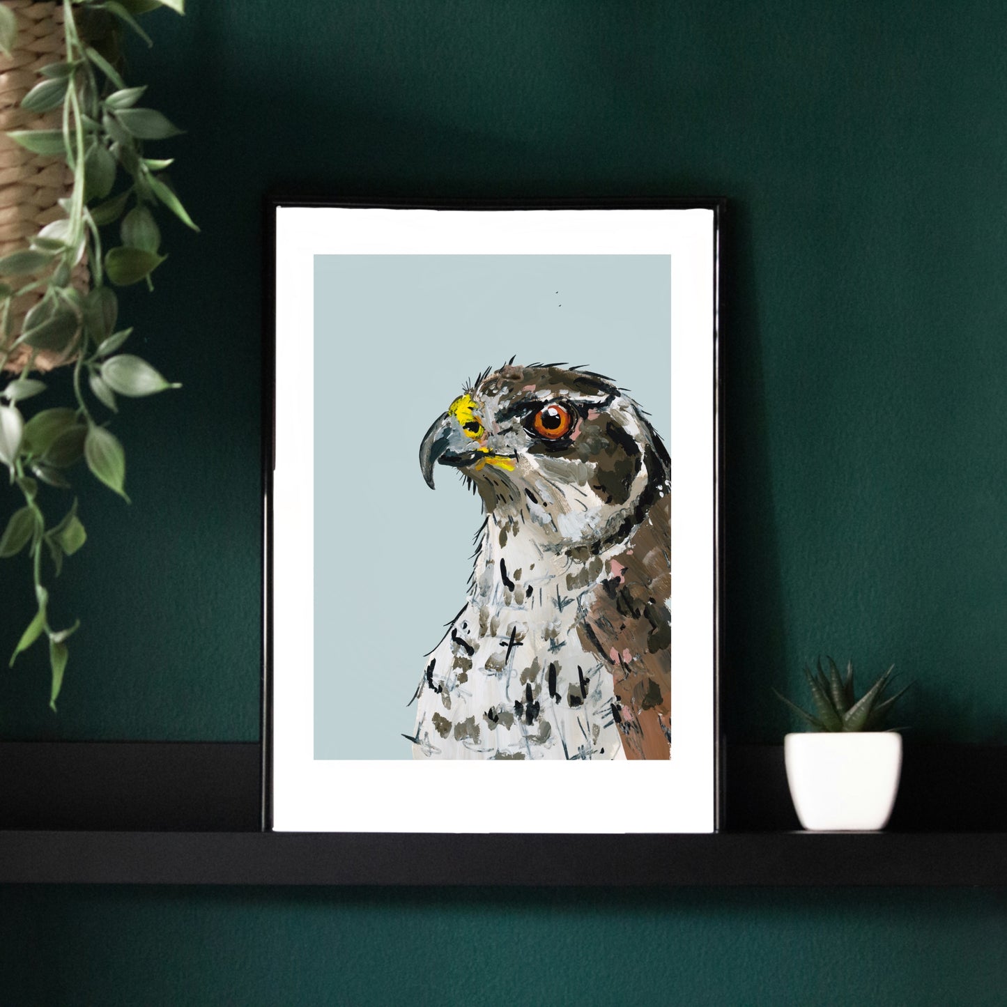 Goshawk Art Print - Griffin