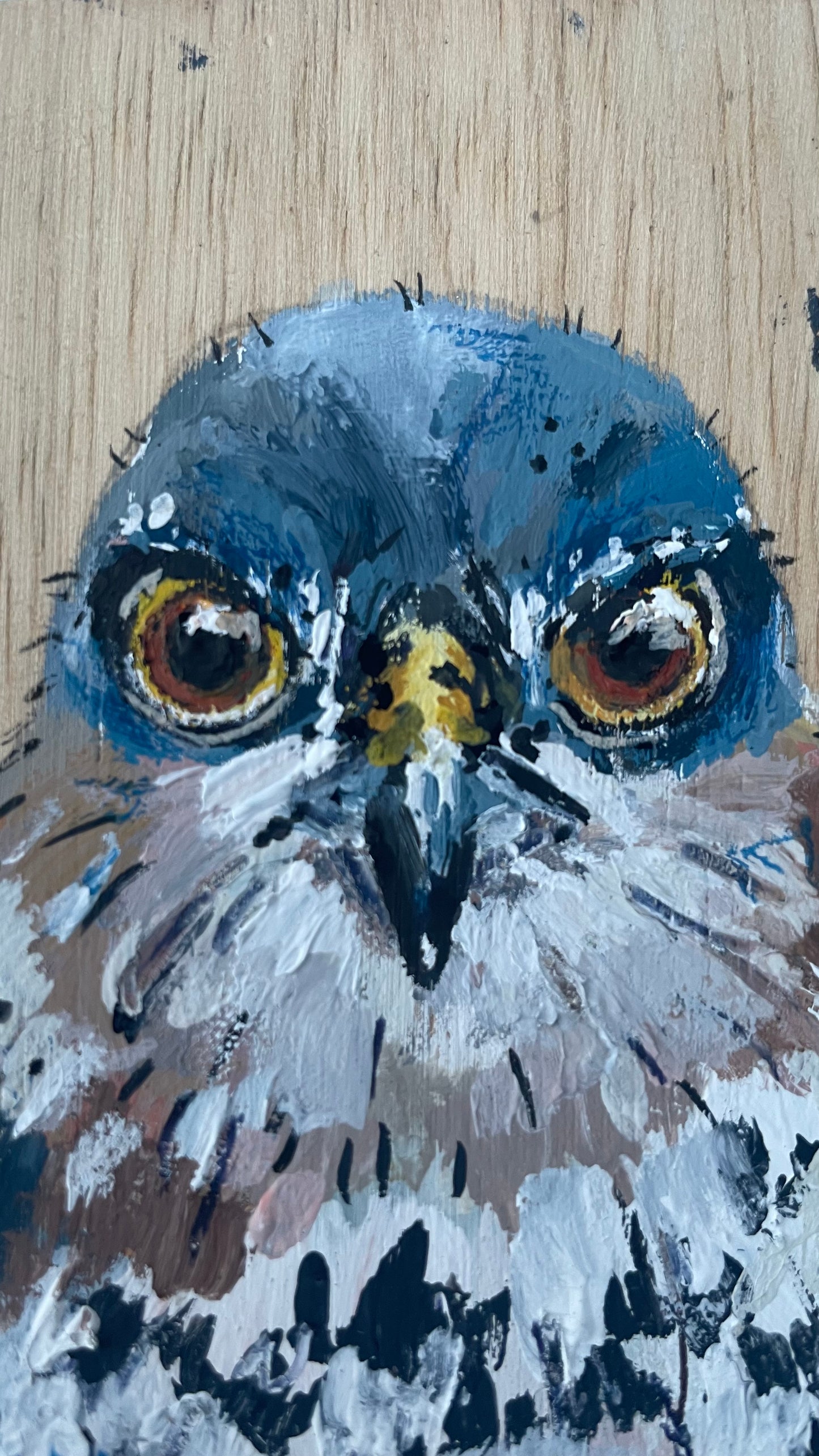 Sparrowhawk Original Painting - Herb