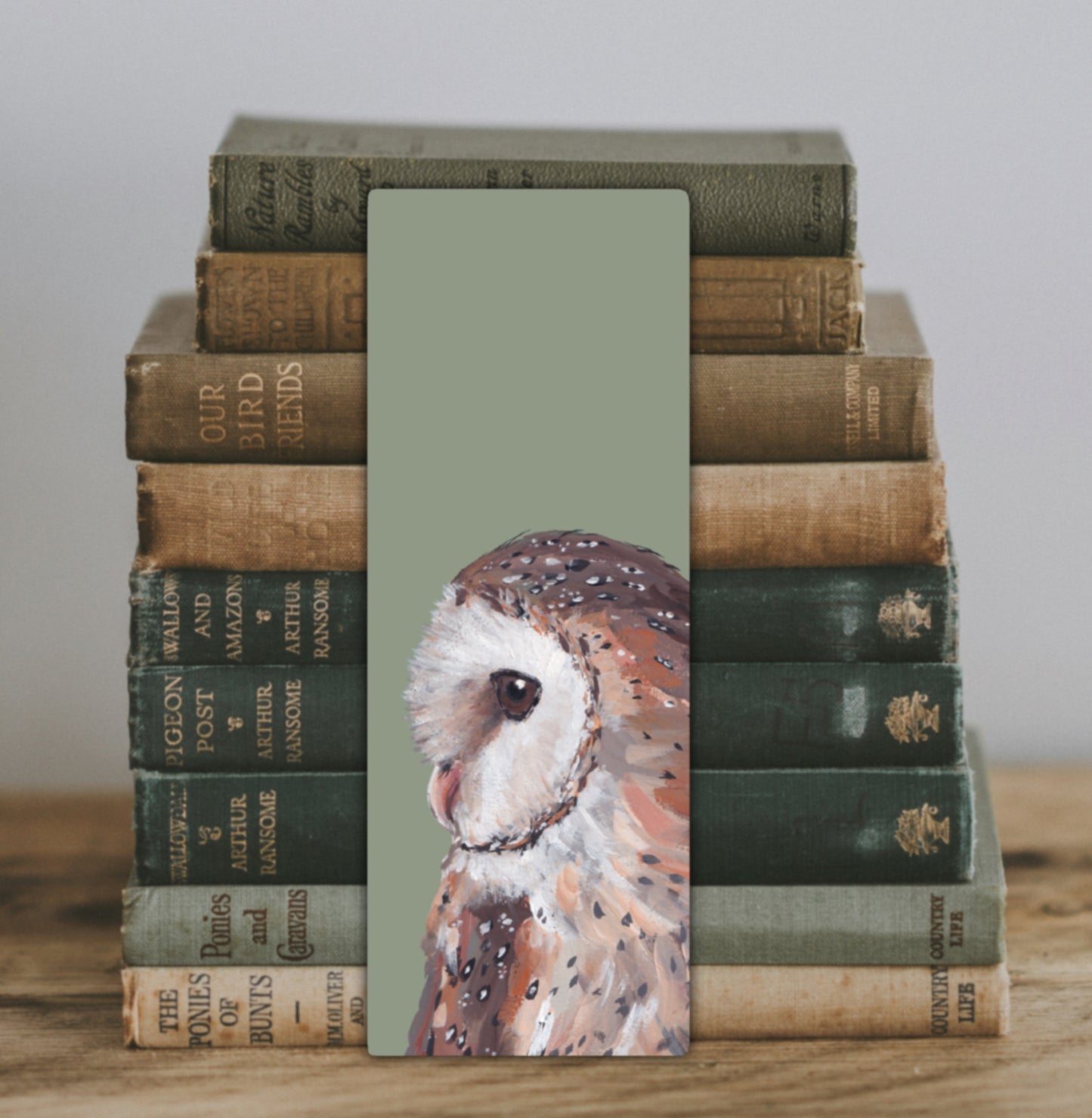 Barn Owl Bookmark - Feathers