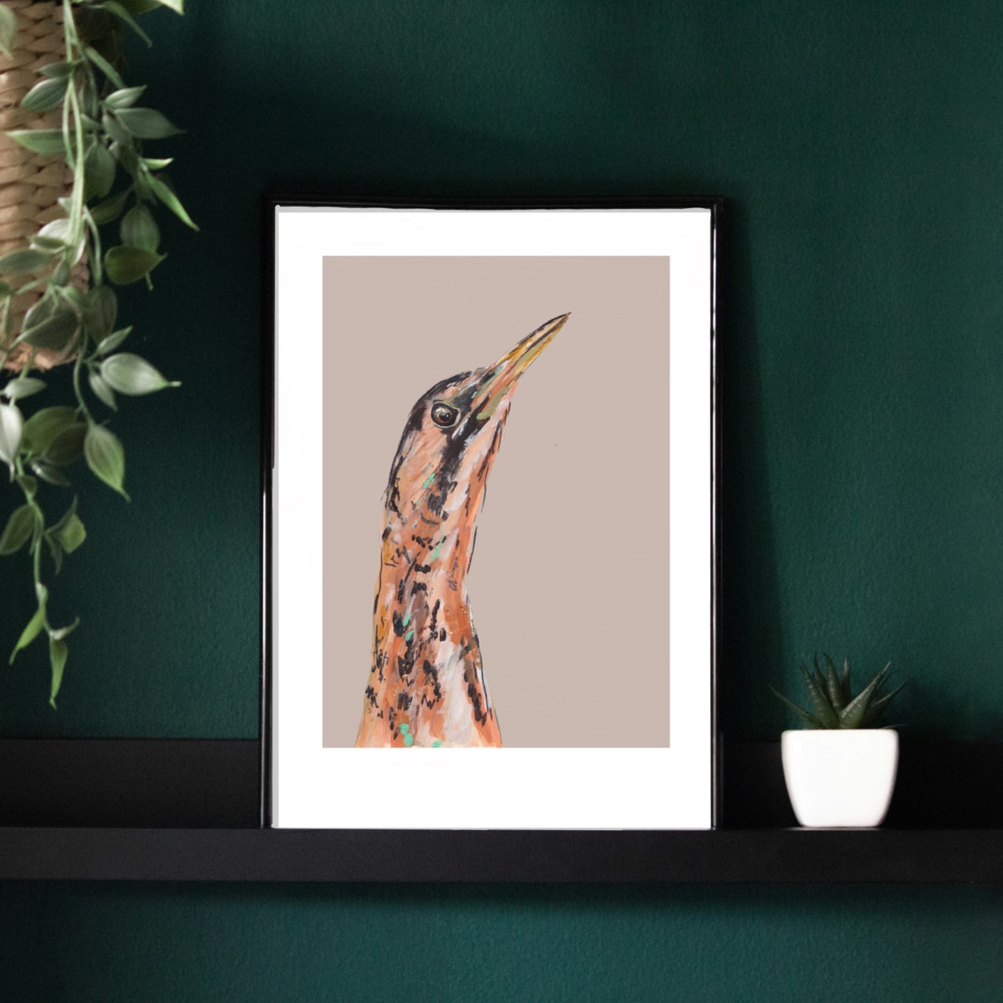 Bittern Art Print - Stanley Boom