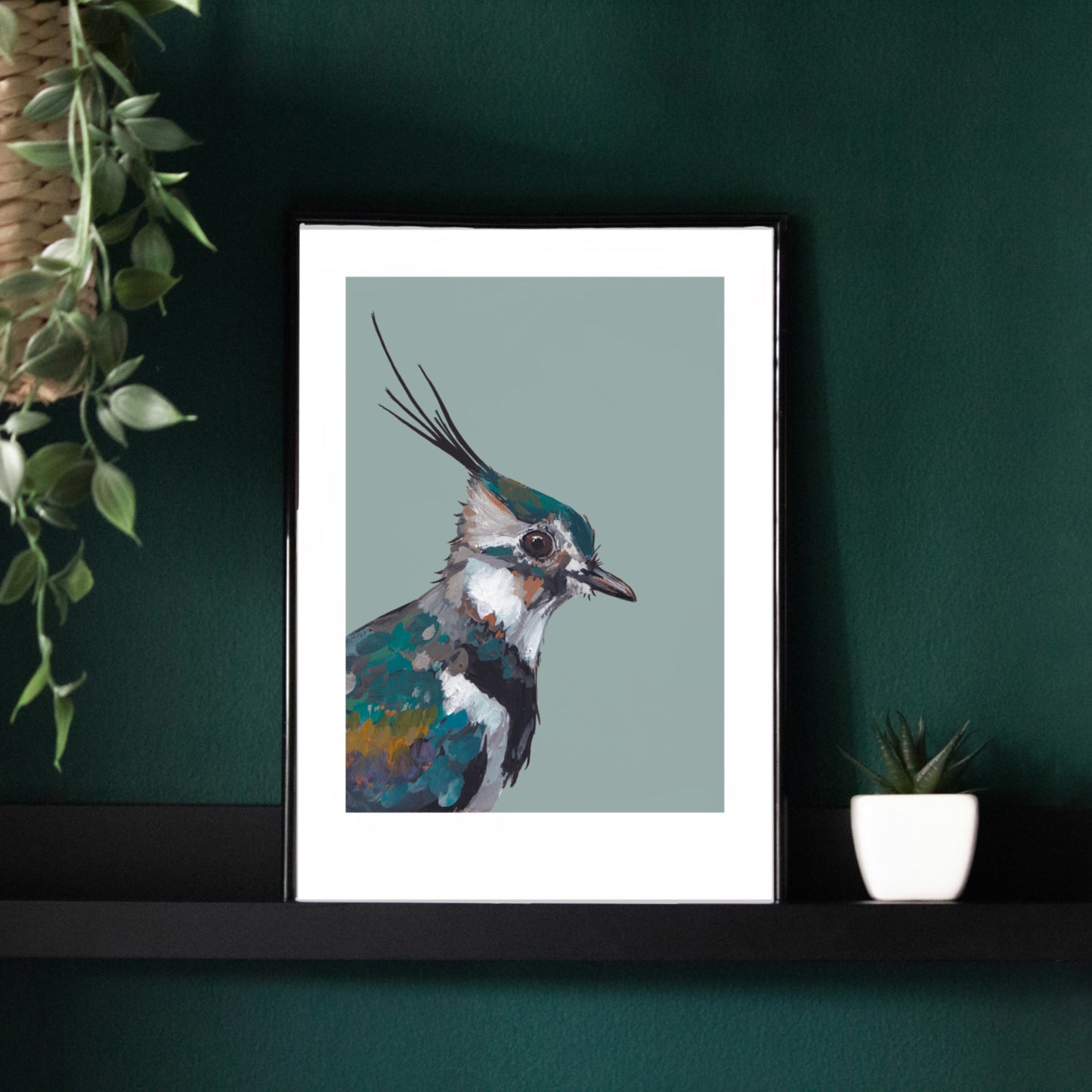 Lapwing Art Print - Lollipop