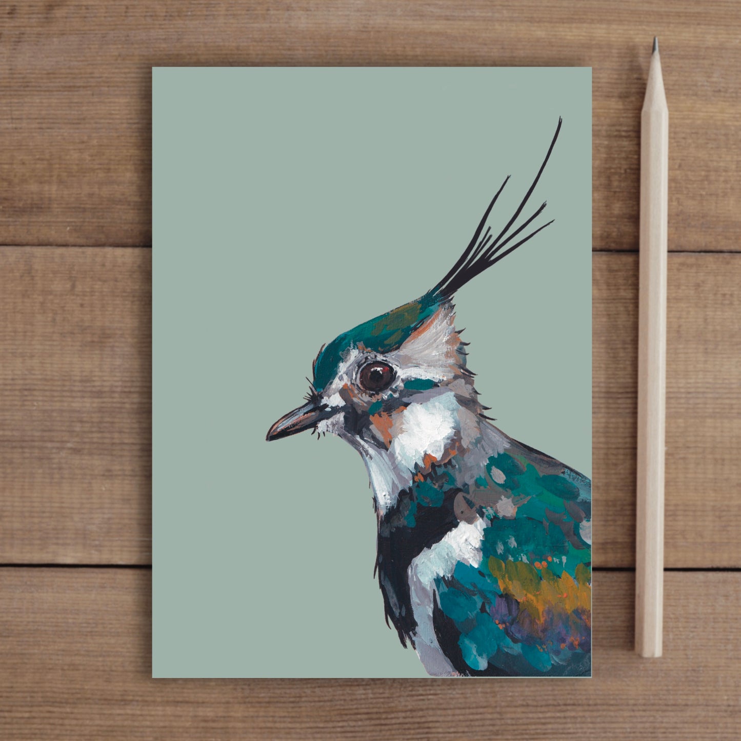 Lapwing Notebook - Lollipop