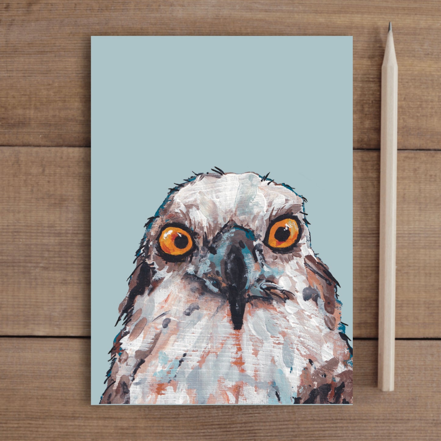 Osprey Notebook - Hunter McClaw