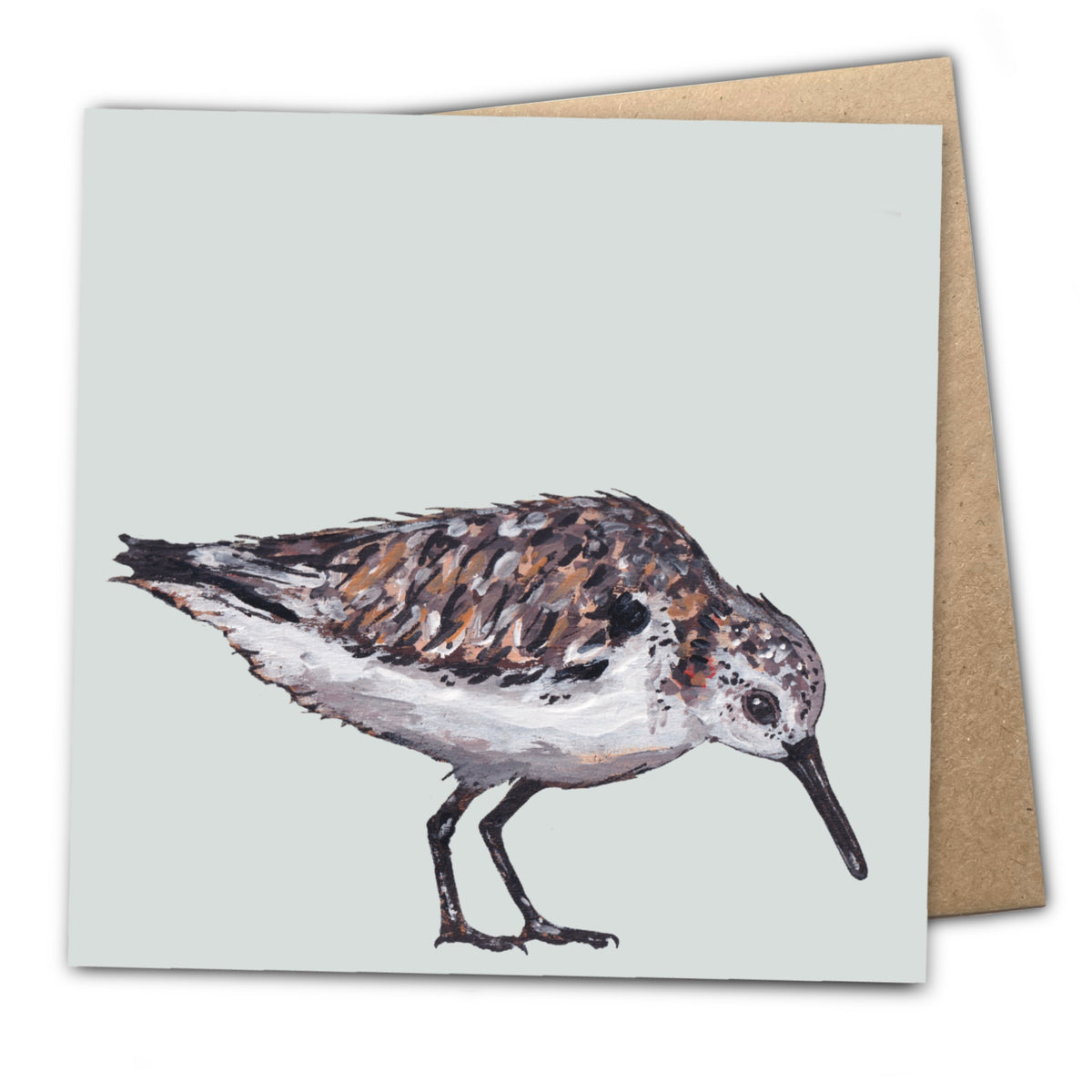 Mrs G the Sanderling Eco-Friendly Greetings Card | Wildlife Stationery