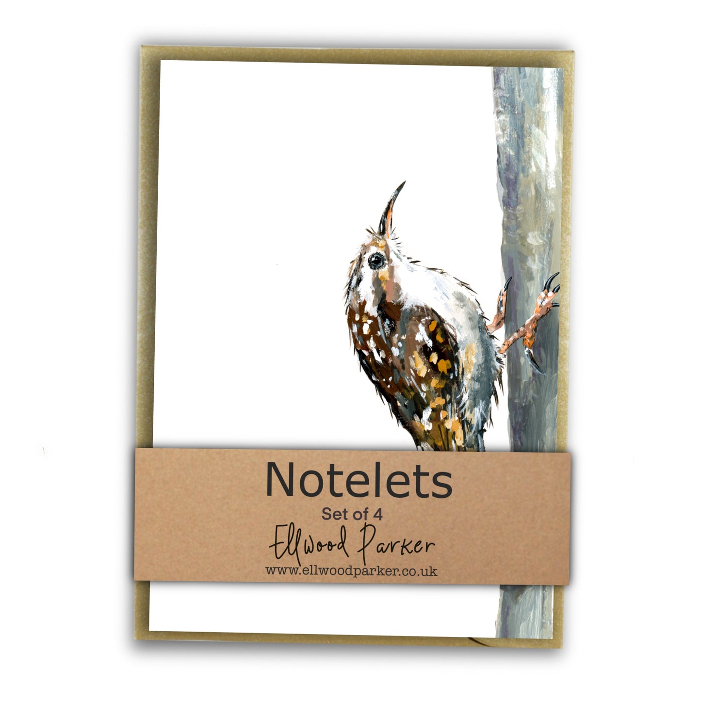 Treecreeper Notelet Set - Trevor