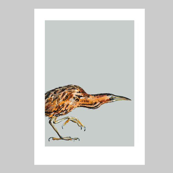 Bittern Art Print - Wilber