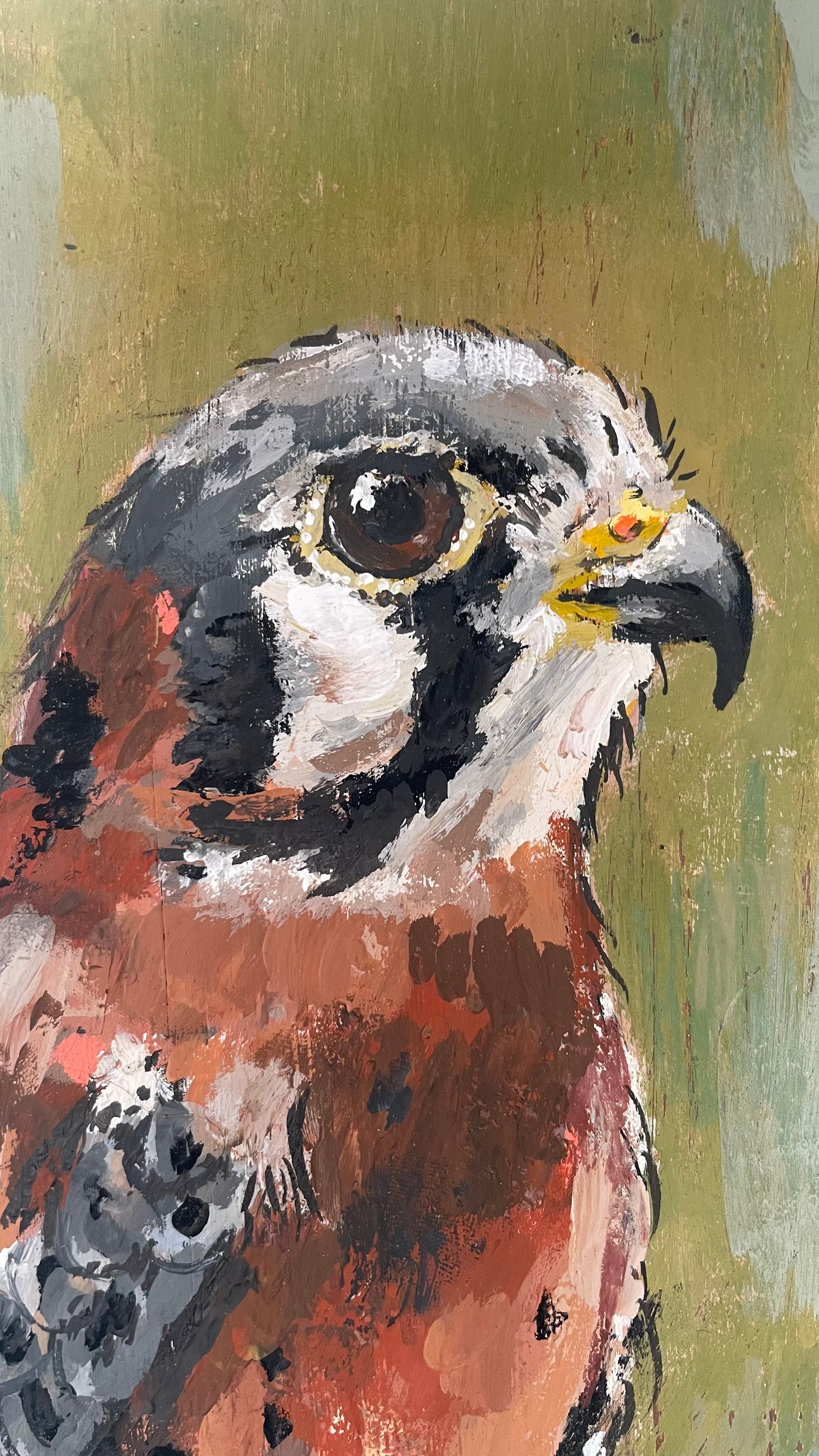 Kestrel Original Painting - Winky
