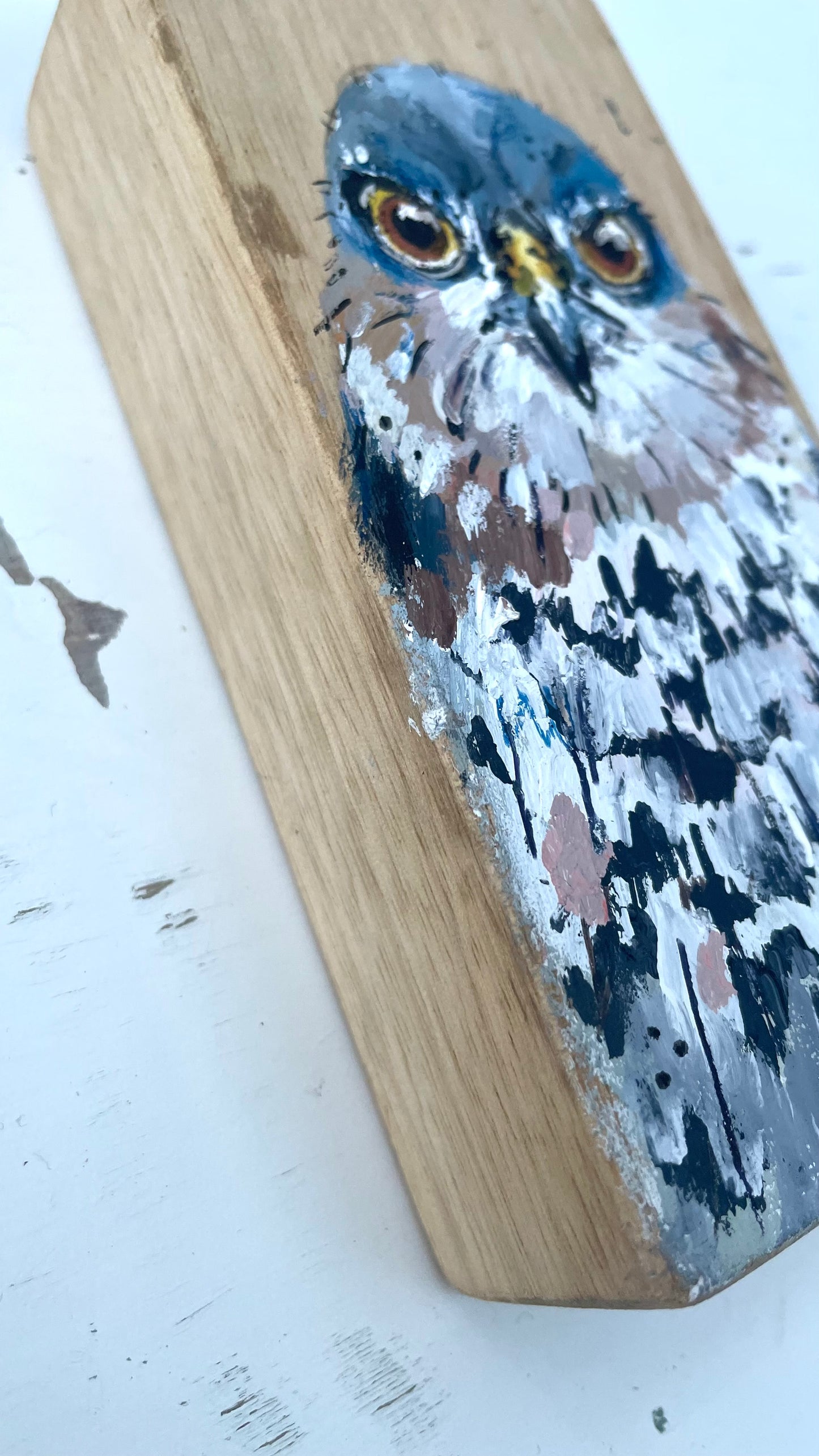 Sparrowhawk Original Painting - Herb