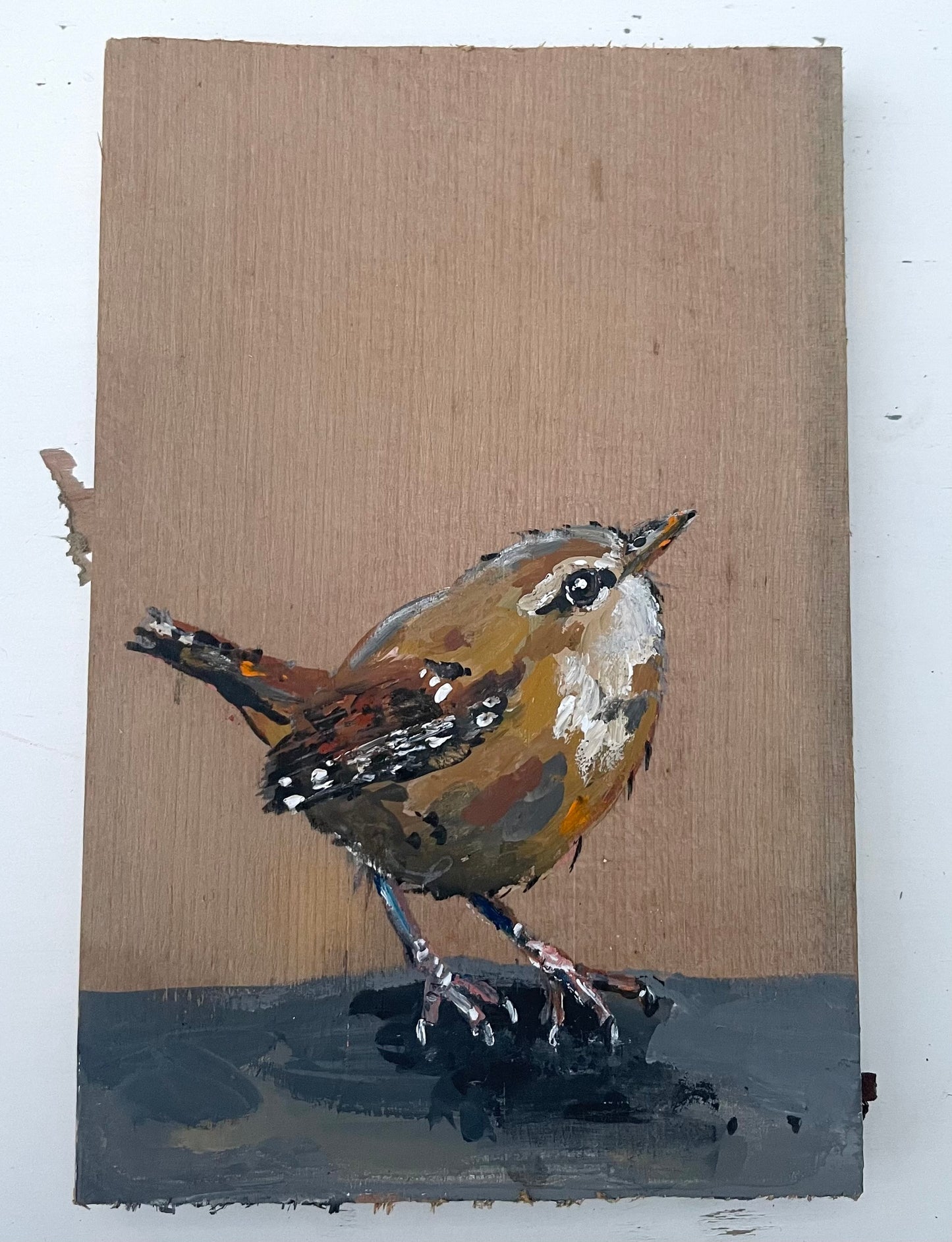Wren Original Painting - Sausage