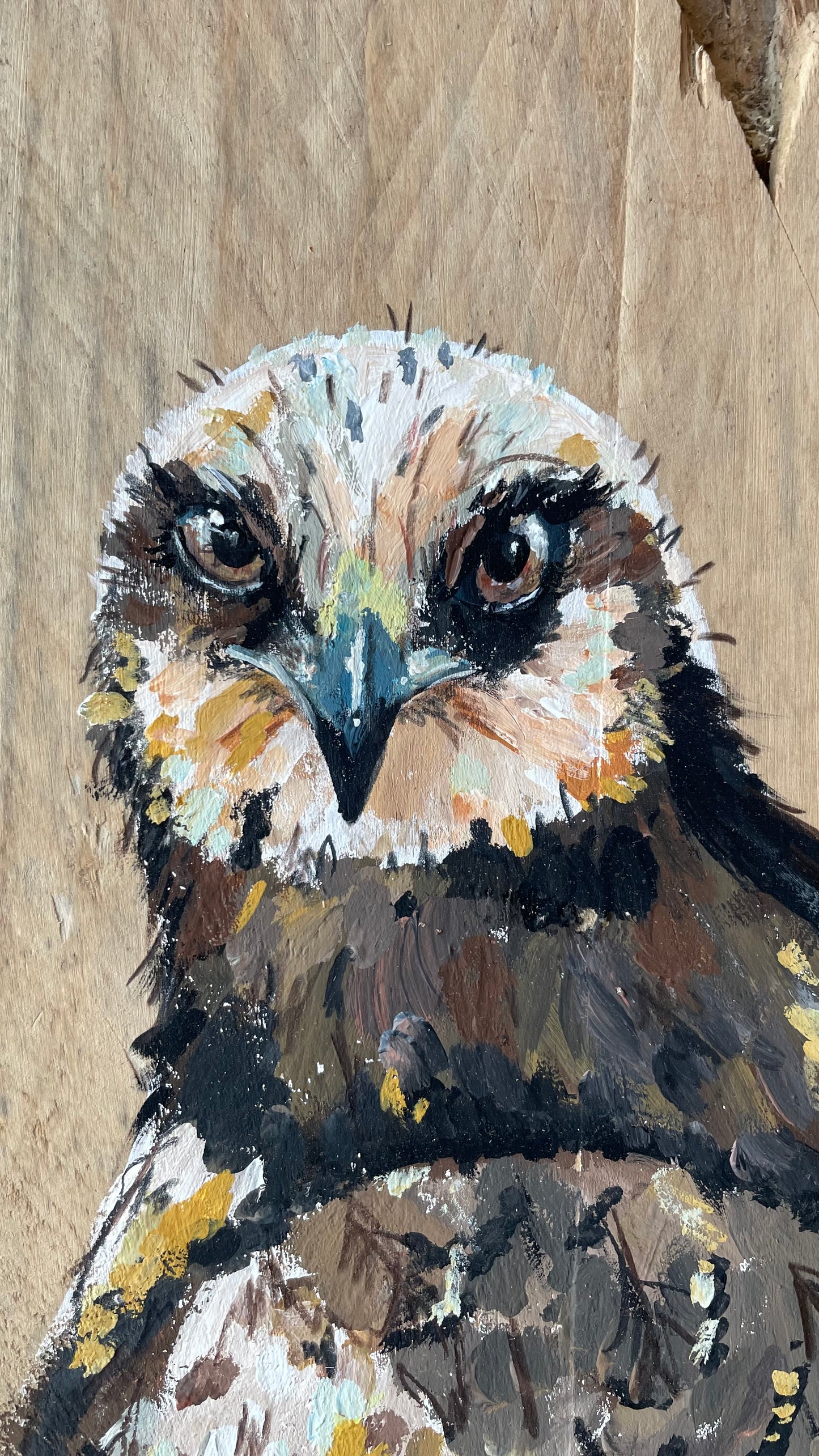 Marsh Harrier Original Painting - Dingle