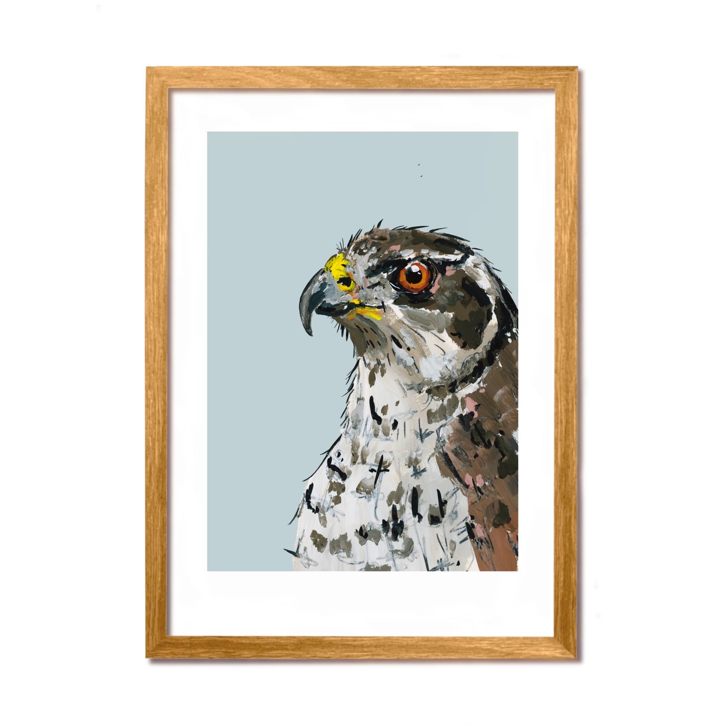 Goshawk Art Print - Griffin