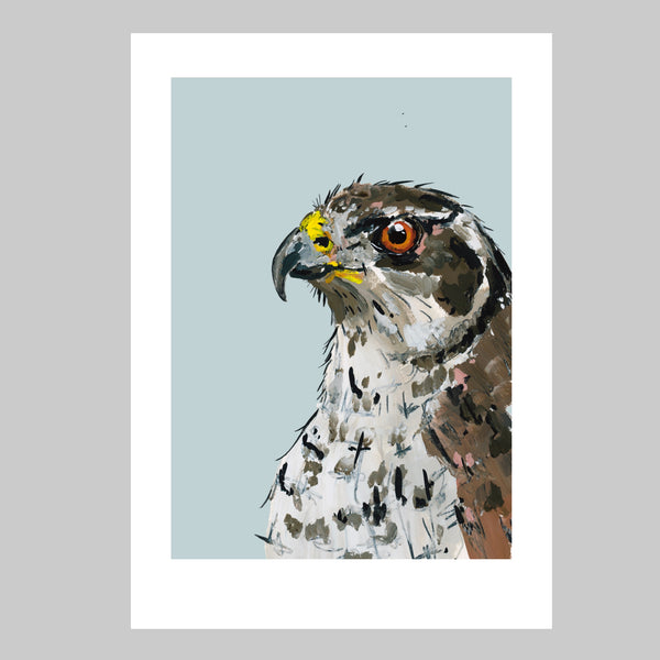 Goshawk Art Print - Griffin