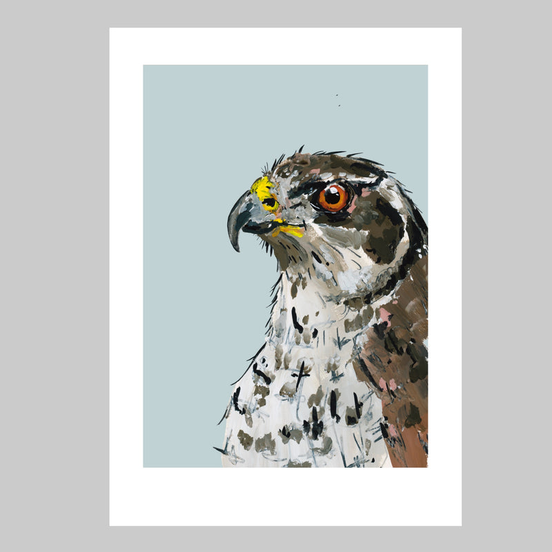Goshawk Art Print - Griffin