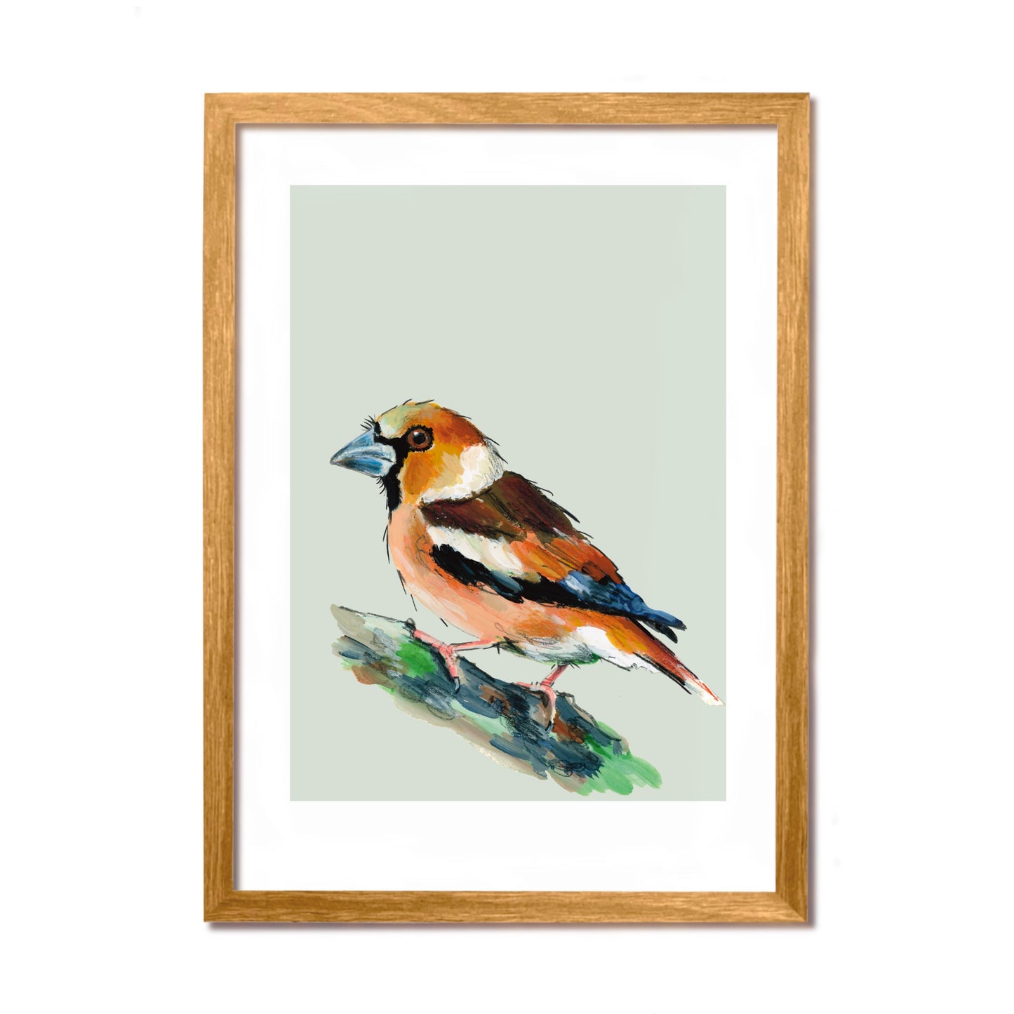 Hawfinch Art Print - Horace