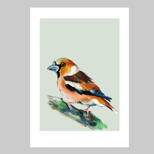 Hawfinch Art Print - Horace