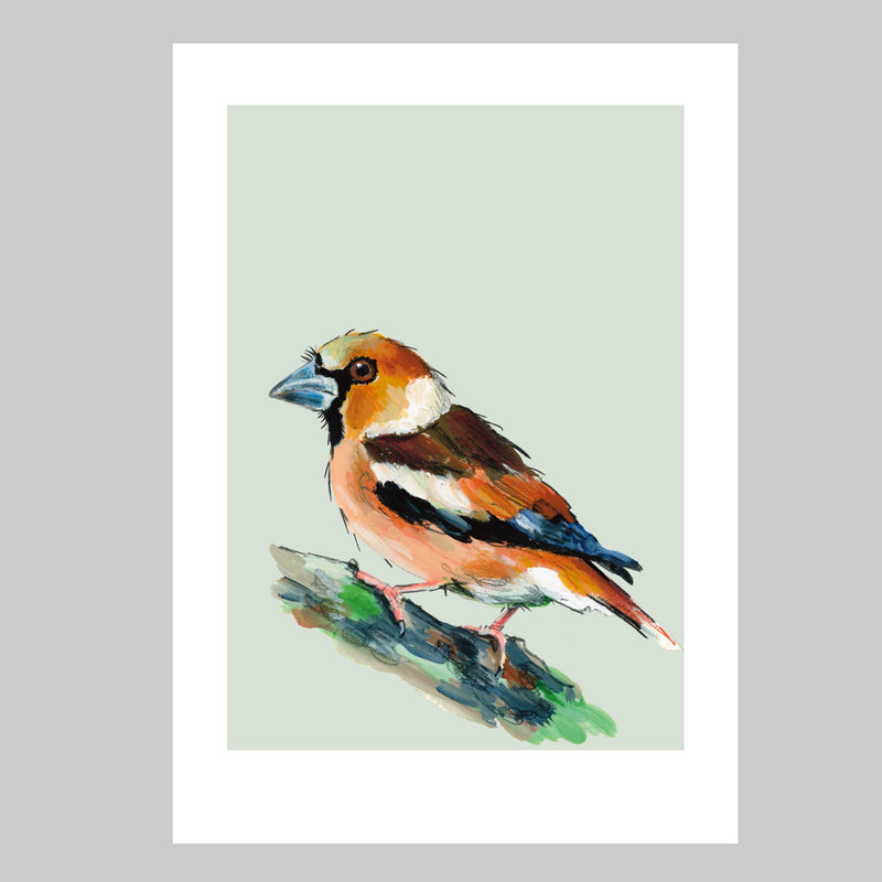 Hawfinch Art Print - Horace