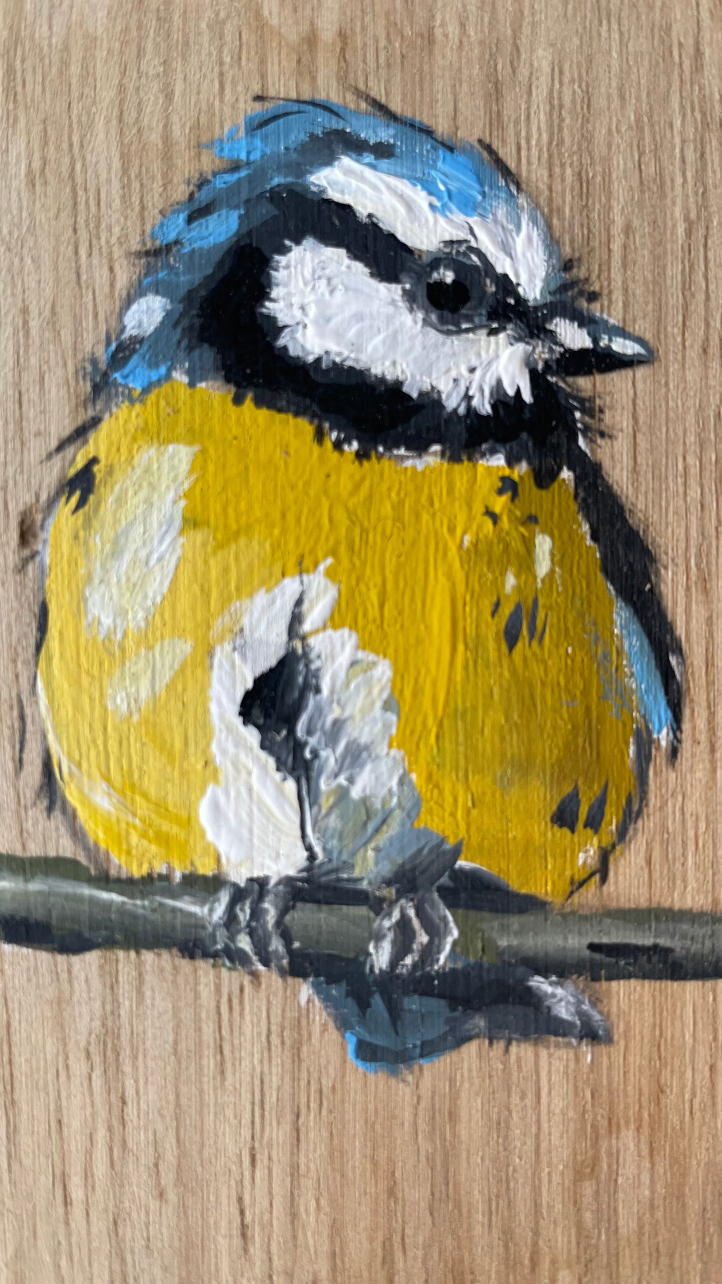 Blue Tit Original Painting - Pom Pom