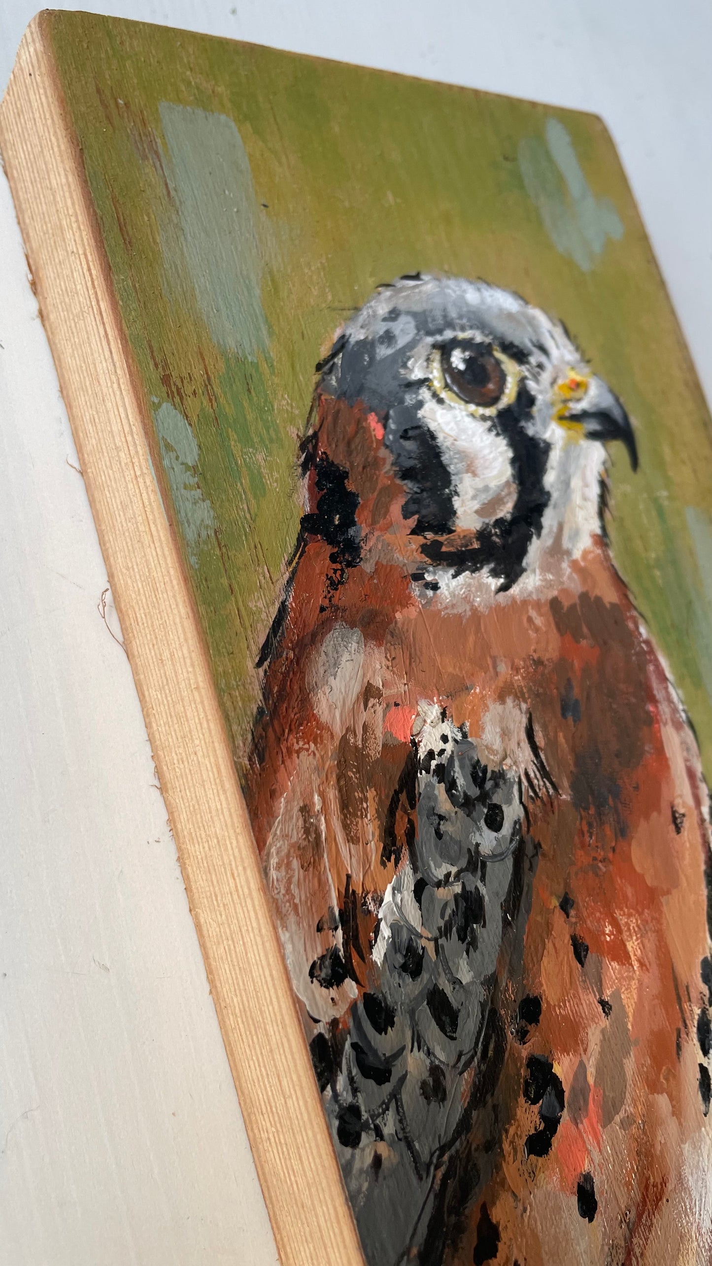 Kestrel Original Painting - Winky