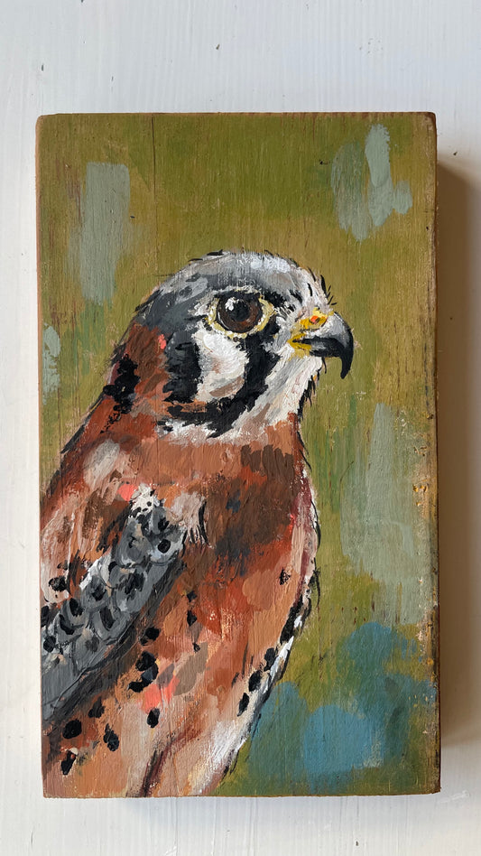 Kestrel Original Painting - Winky