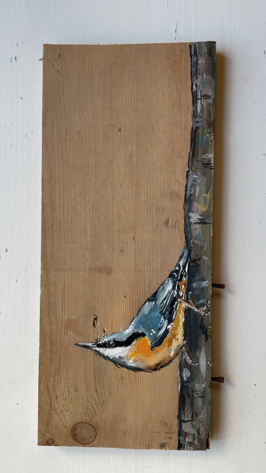 Nuthatch Original Painting - Wingnut