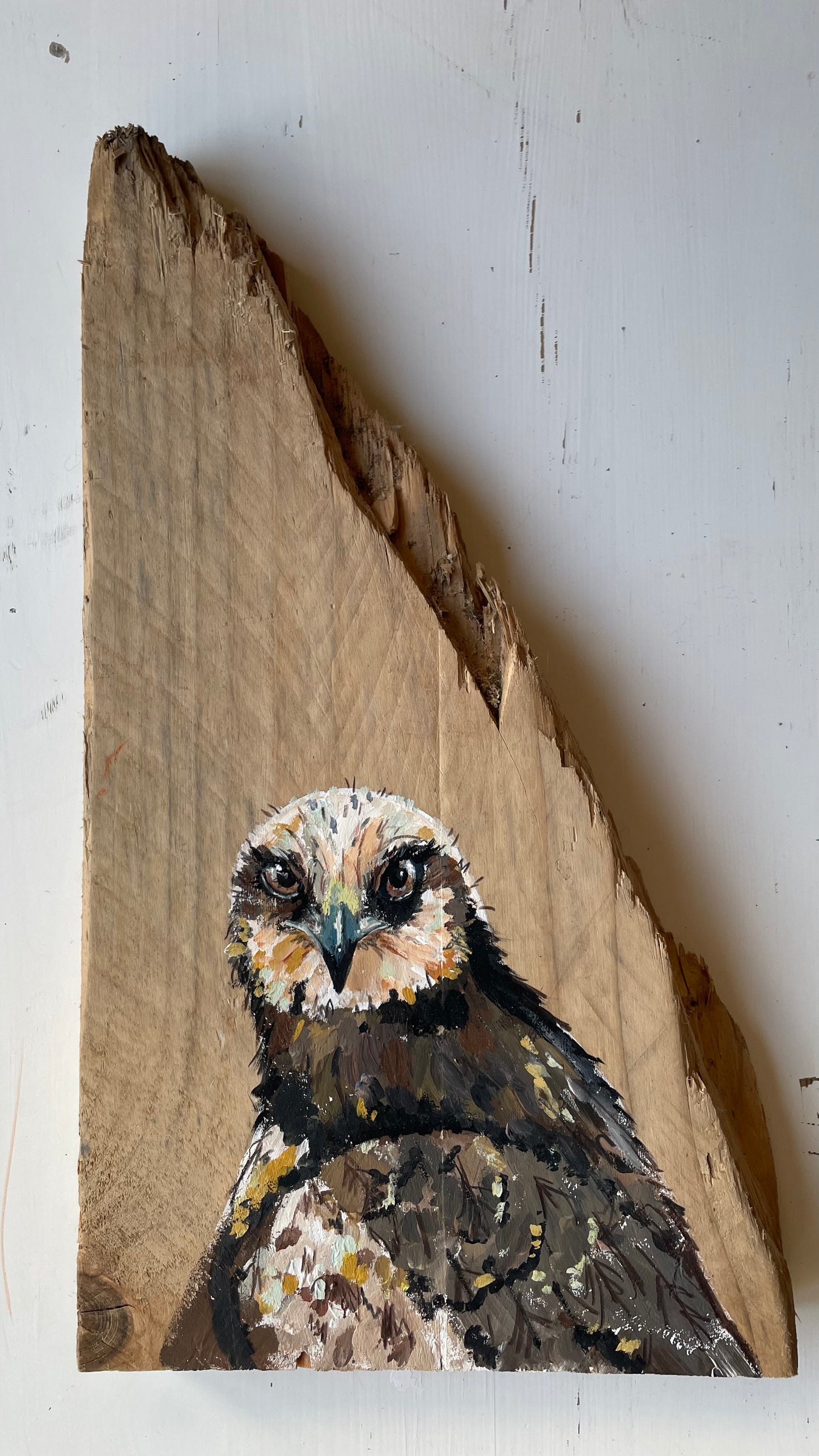 Marsh Harrier Original Painting - Dingle