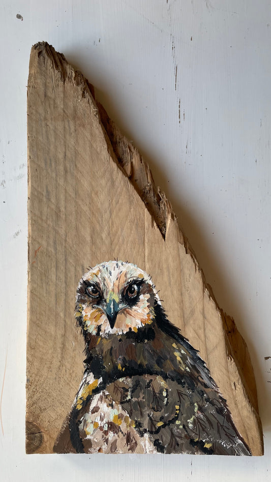 Marsh Harrier Original Painting - Dingle