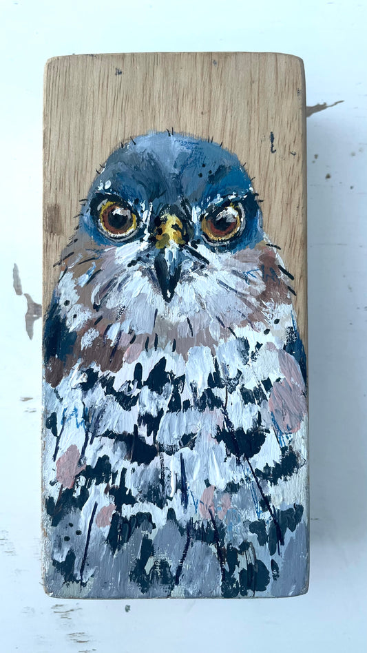 Sparrowhawk Original Painting - Herb