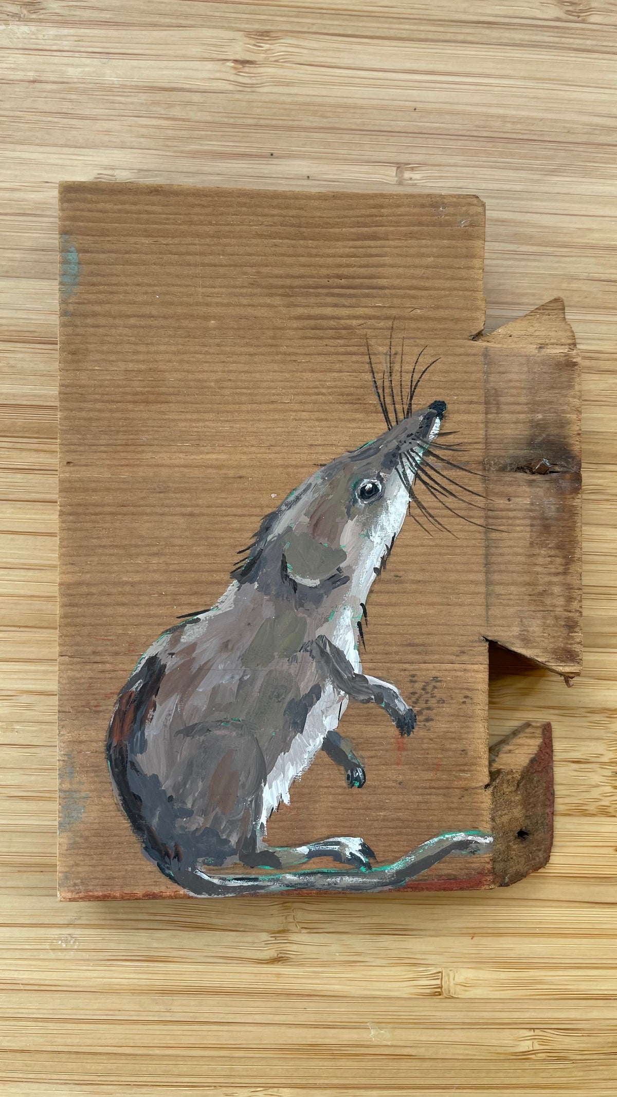 Shrew - Blue