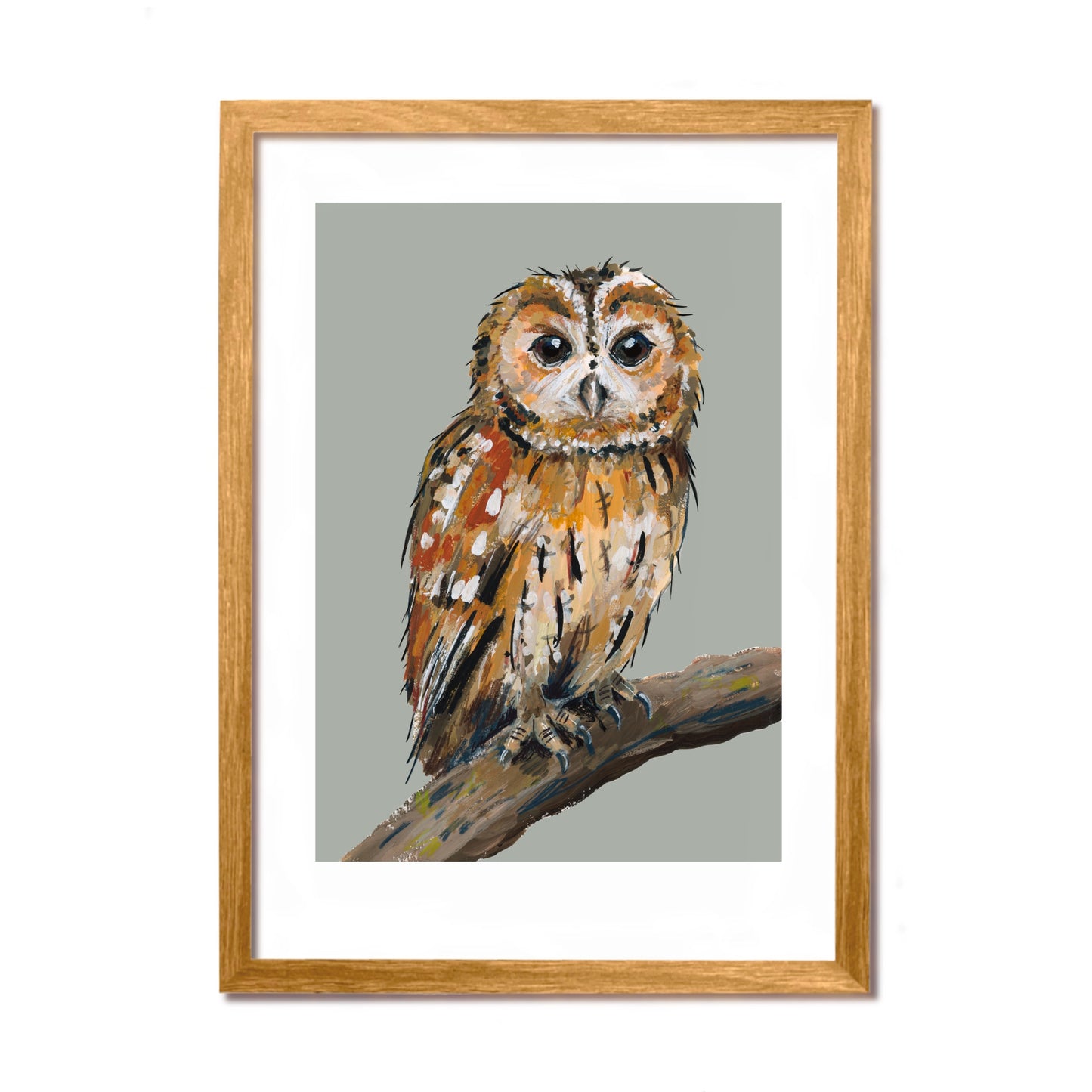 Tawny Owl Art Print - Smaug