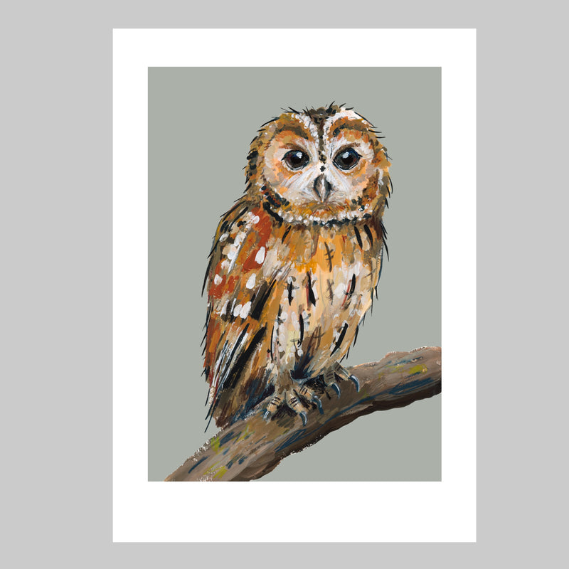 Tawny Owl Art Print - Smaug