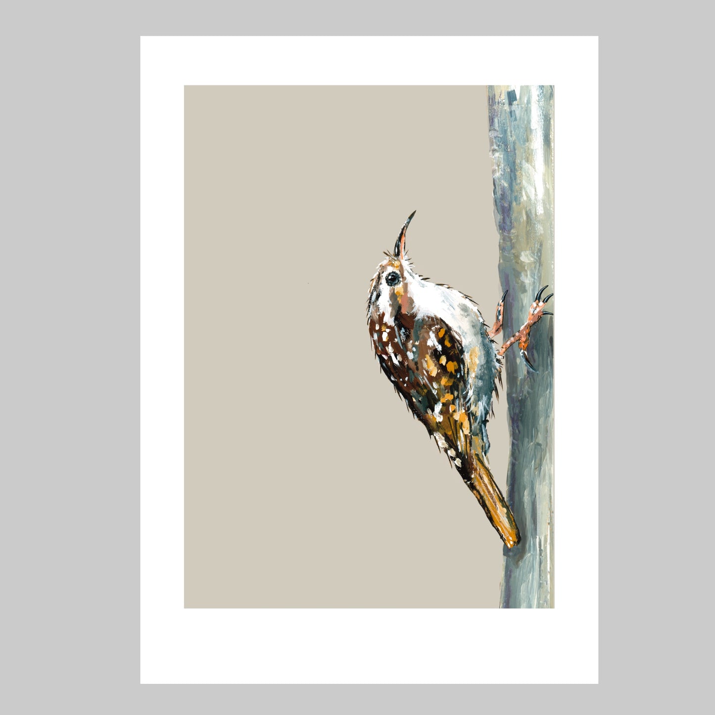 Treecreeper Art Print - Trevor
