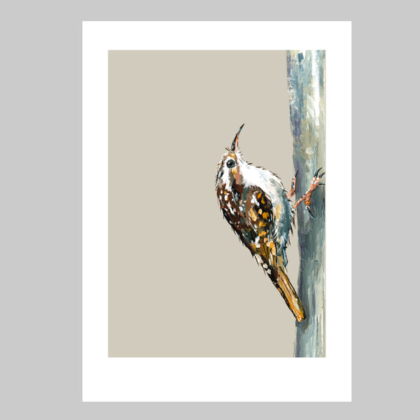 Treecreeper Art Print - Trevor