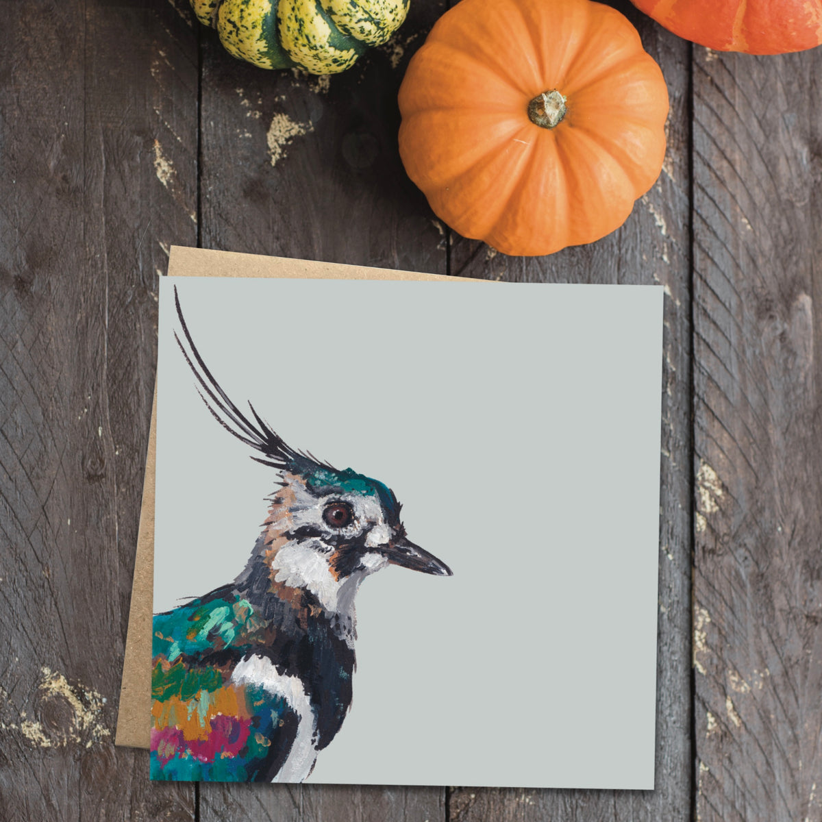 Lollipop the Lapwing Eco-Friendly Greetings Card | Wildlife Stationery