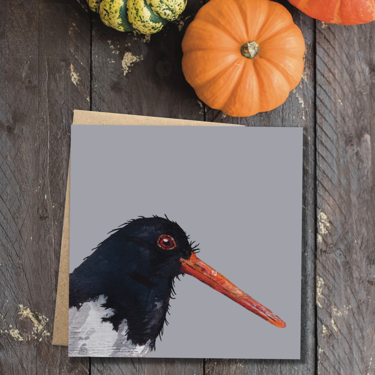 Badger the Oystercatcher Eco-Friendly Greetings Card | Wildlife Stationery