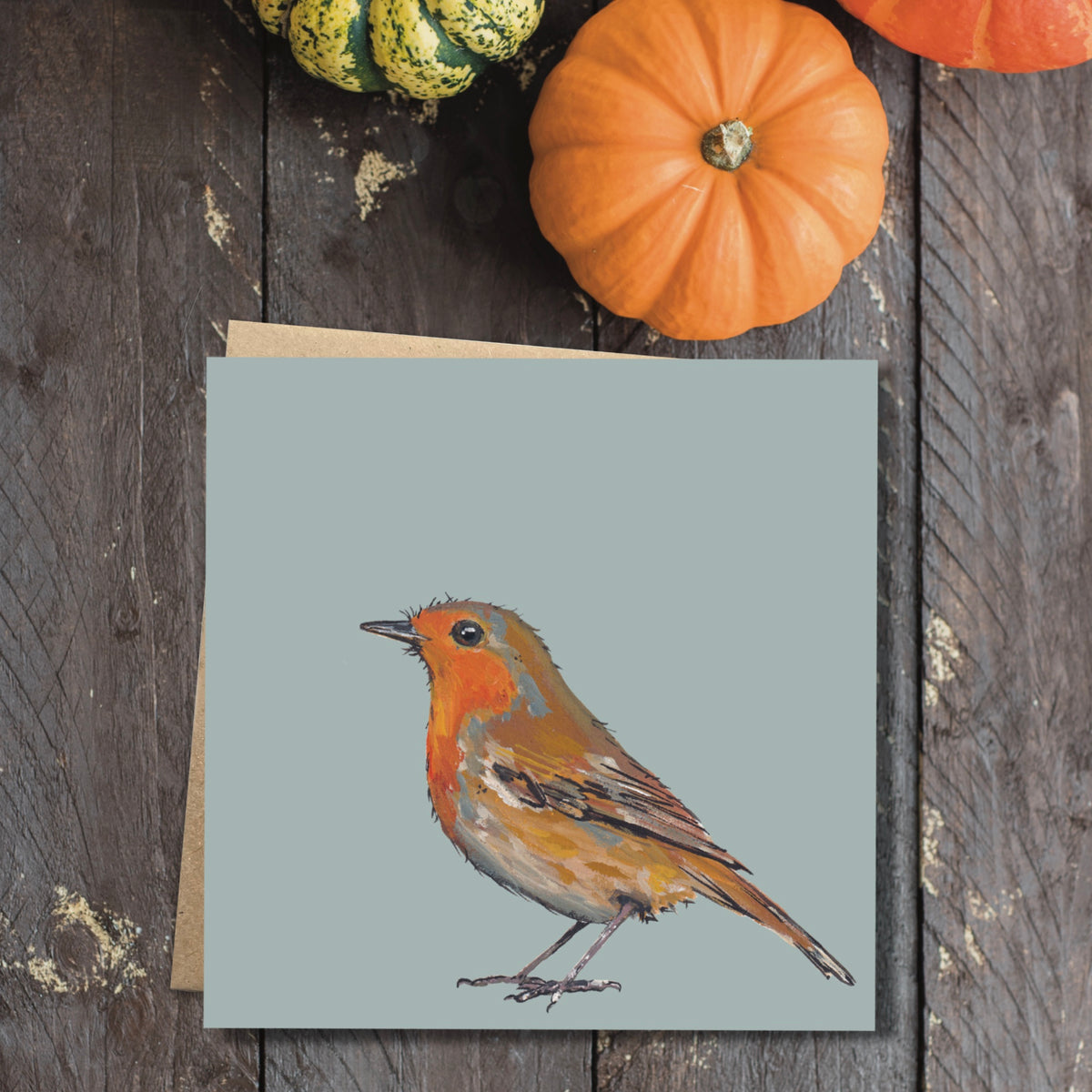 Barnacle the Robin Eco-Friendly Greetings Card | Wildlife Stationery