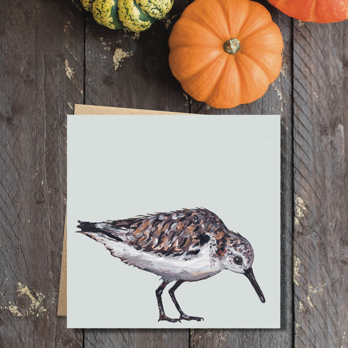 Mrs G the Sanderling Eco-Friendly Greetings Card | Wildlife Stationery