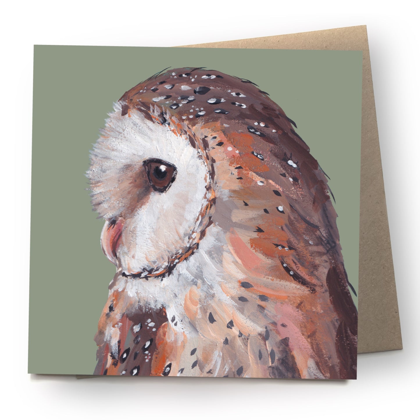 Barn Owl Greetings Card - Feathers
