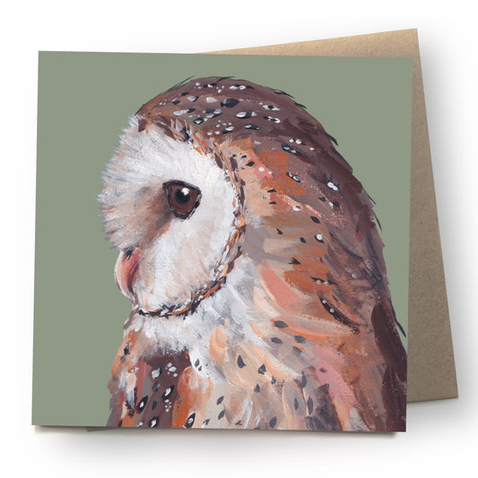 Barn Owl Greetings Card - Feathers
