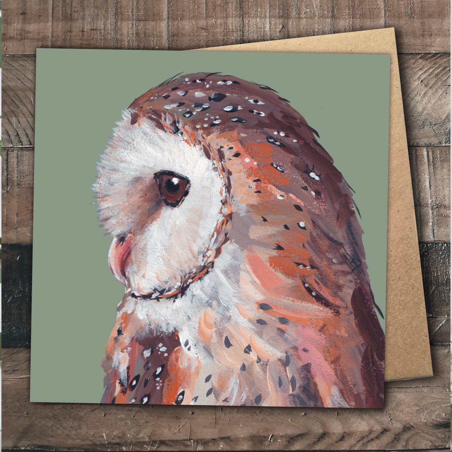 Barn Owl Greetings Card - Feathers
