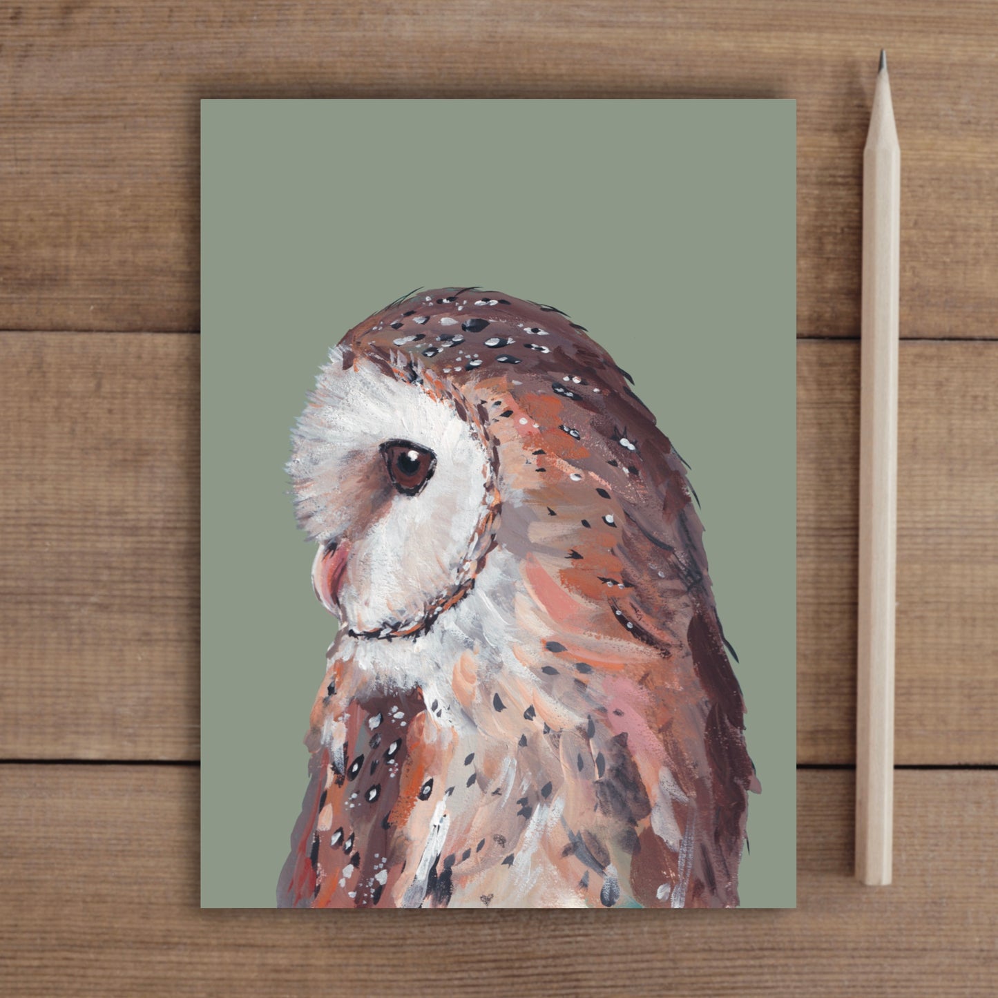 Barn Owl Notebook - Feathers