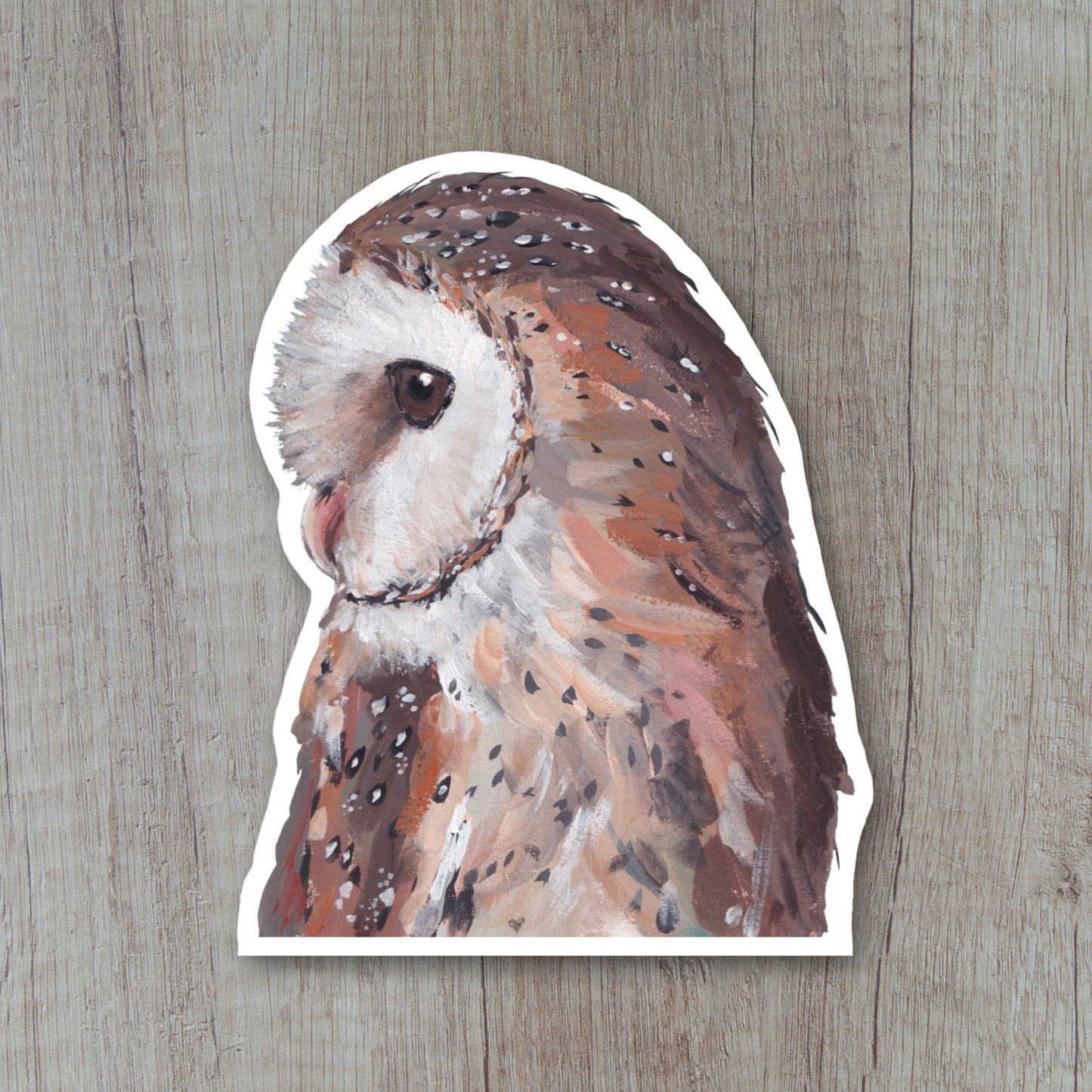 Barn Owl Sticker - Feathers