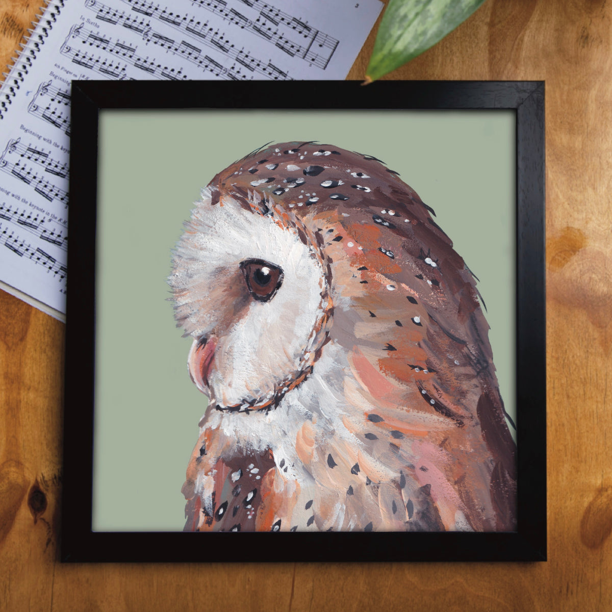 A square barn owl greetings card displayed in a black frame by wildlife artist Louise Ellwood Parker.