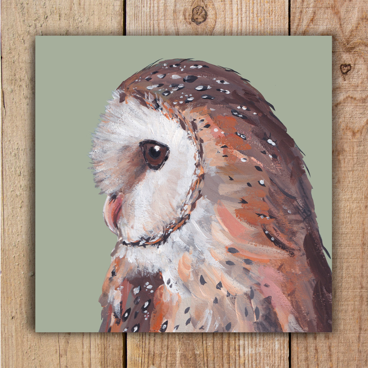 A wildlife greetings card featuring an original portrait painting of Feathers the Barn Owl on a pale green background.