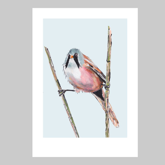 Bearded Tit Art Print - Flash