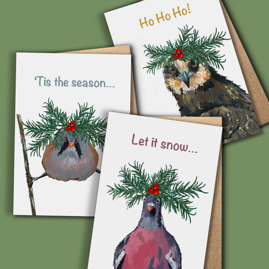 Christmas Cards - Bird Set - A6