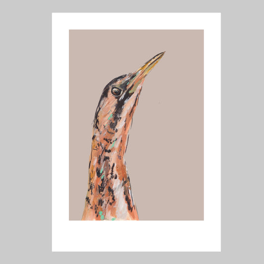 Bittern Art Print - Stanley Boom