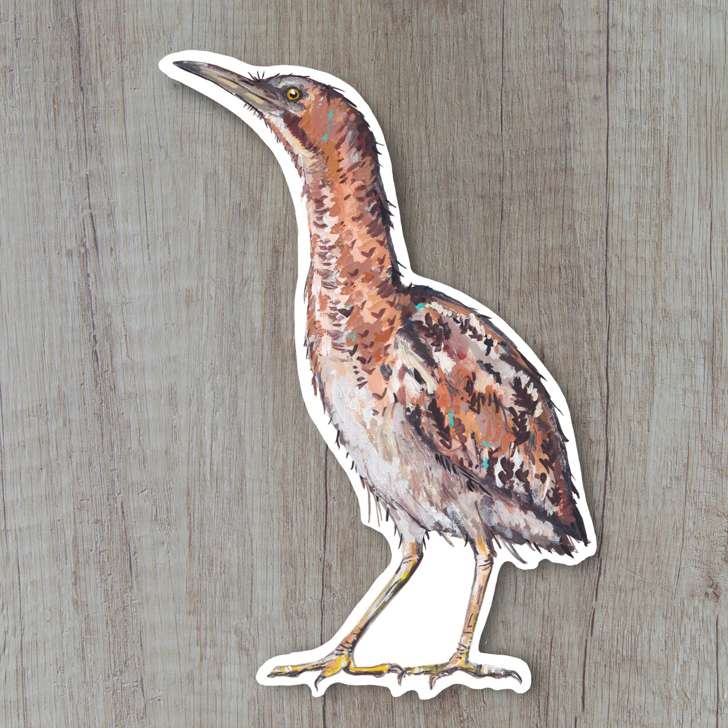 Bittern Sticker - Dingle Dangle