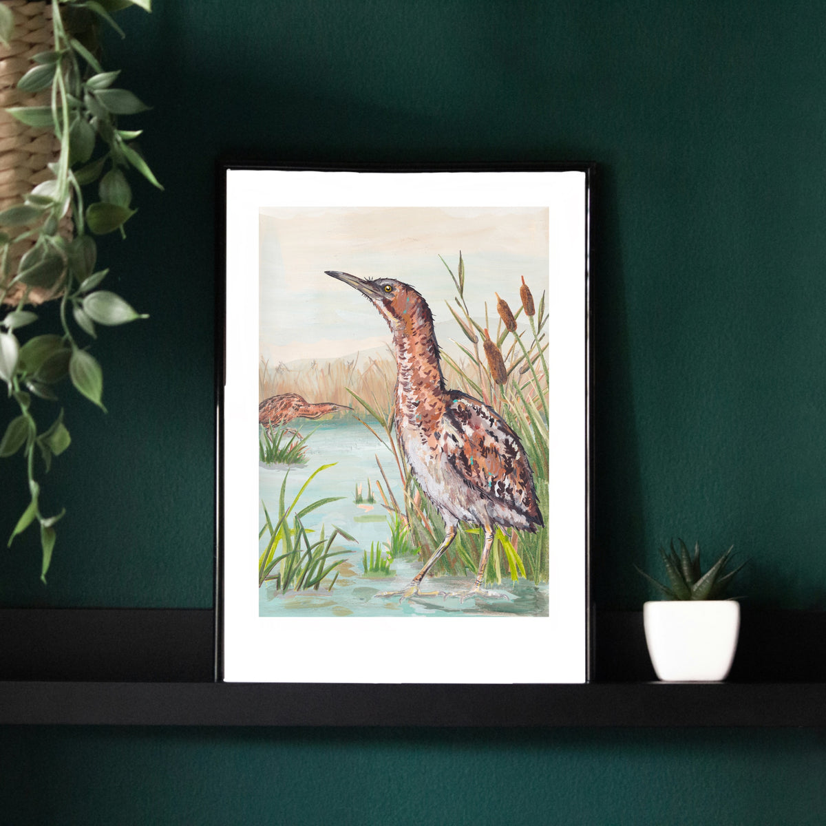 Bitterns Art Print