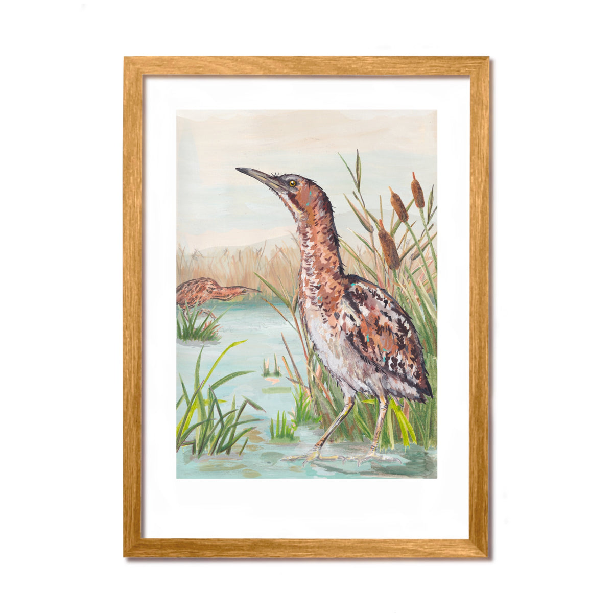 Bitterns Art Print