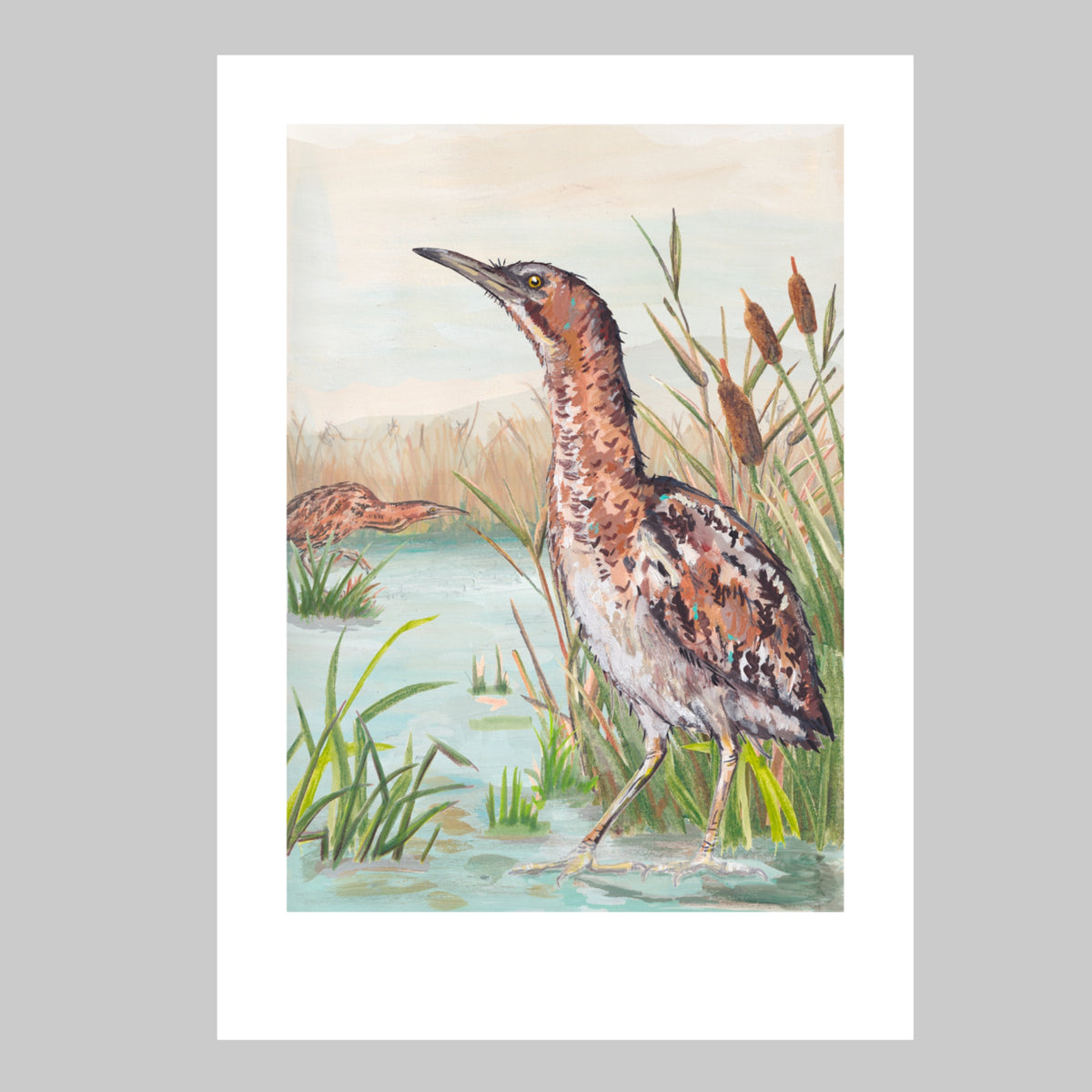 Bitterns Art Print